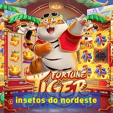 insetos do nordeste