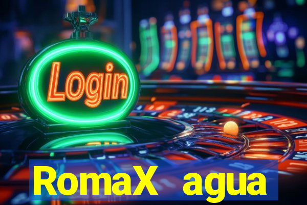 RomaX agua sanitaria fispq agua sanitaria romax