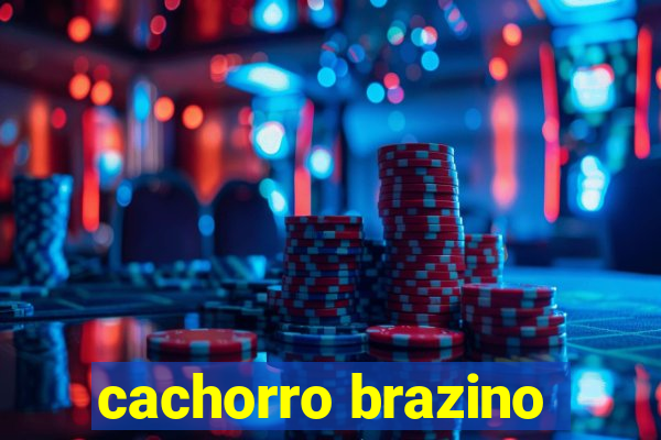 cachorro brazino