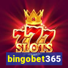 bingobet365