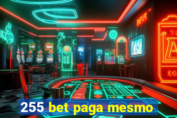 255 bet paga mesmo