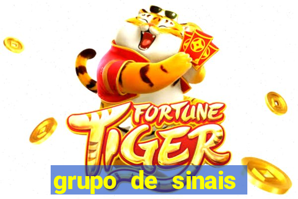 grupo de sinais fortune rabbit