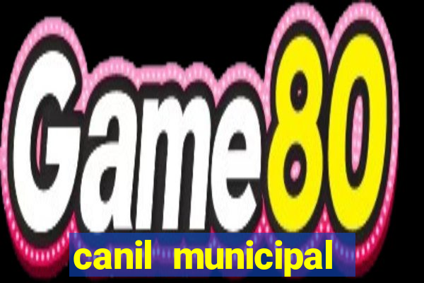 canil municipal porto alegre